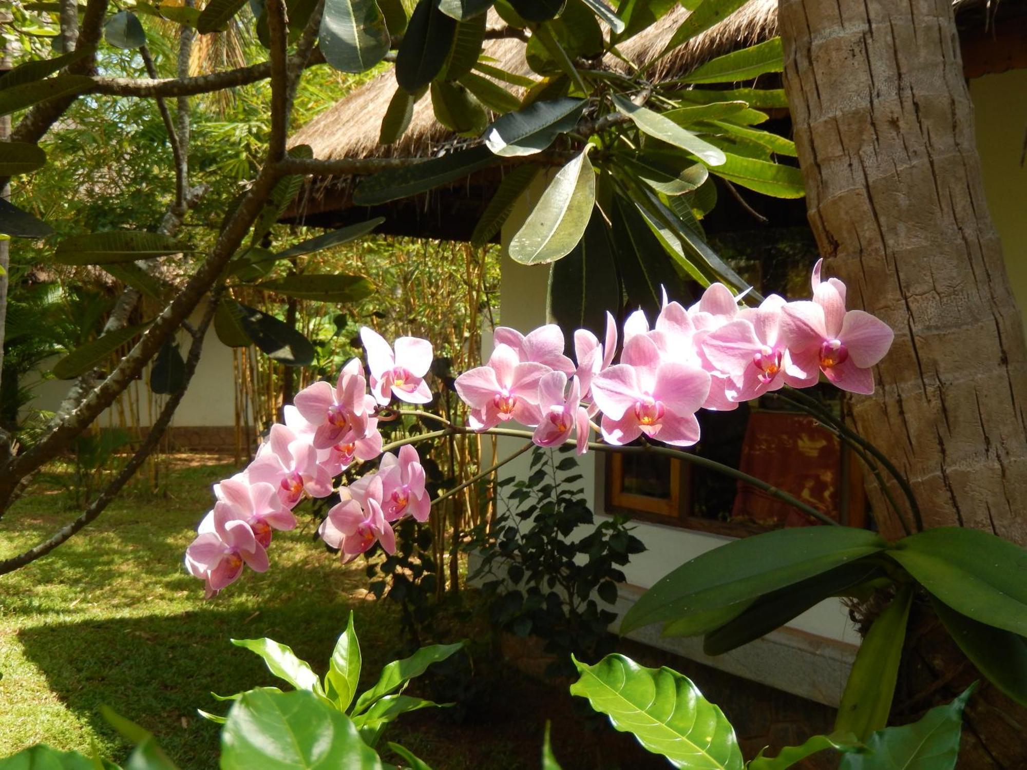 Neeleshwar Hermitage Nileshwar Exterior photo